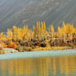 A Lake, Mastuj, Chitral, KP, October 31, 2011