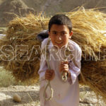 A boy collecting fodder, Chitral, KP, May 30, 2008