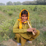 A boy in fields, Dadu, Sindh, December 31, 2016