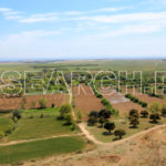 A farm, Gajju Khan, Swabi, KP, April 1, 2017