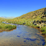 A fresh stream, Deosai National Park, Gilgit-Baltistan, July 21, 2014