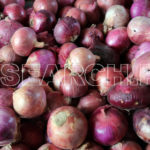 A heap of onions, Peshawar, KP, September 12, 2016