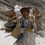 A man collecting wood, Chitral, KP, May 30, 2008