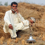 A man resting in fields, Patoki, Lahore, Punjab, November 3, 2014