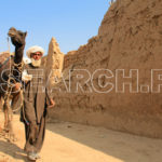 A man with his black camel, D I Khan, KP, November 10, 2015