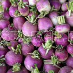 A pile of turnips, Haripur, KP, February 15, 2016