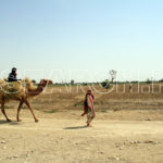 A woman on the road, Sibbi, Balochistan, March 27, 2015