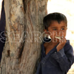 Boy under a tree, Nasirabad, Balochistan, April 4, 2015