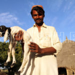 Farmer with his baby goat, Chachro, Thar, Sindh, December 28, 2015