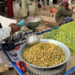 Fresh Matar roasted, Jacobabad, Sindh, December 26, 2015