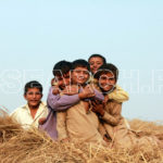 Happy boys, Patoki, Punjab, November 3, 2014