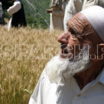 Looking up, Bahrain, Swat, KP, June 10, 2010