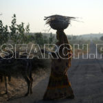 Tired woman returning home, Chachro, Chachro, Thar, Sindh, December 28, 2015