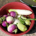 Turnips in basket, Haripur, KP, February 15, 2016