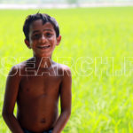 Young boy, Shaikhupura, Punjab, January 7, 2017