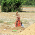 A woman in fields, Dadu, Sindh, April 10, 2015