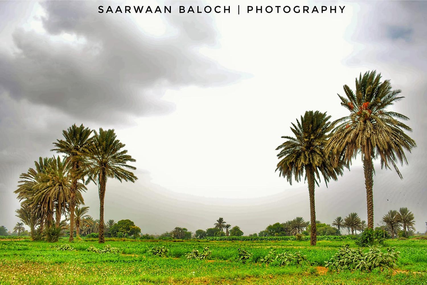 Saarwaan Baloch (3)