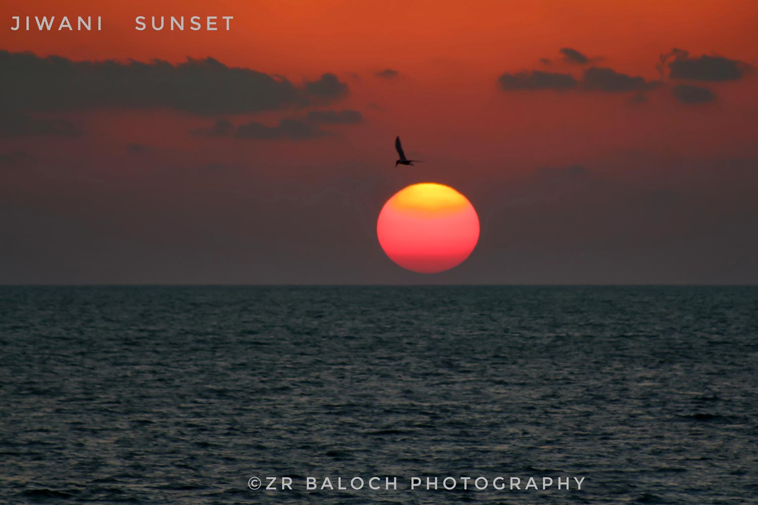 Zahid Rasheed Baloch (3)