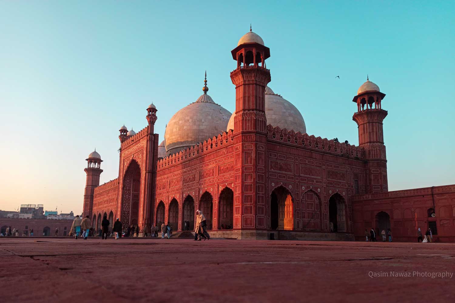 Qasim Nawaz (6)
