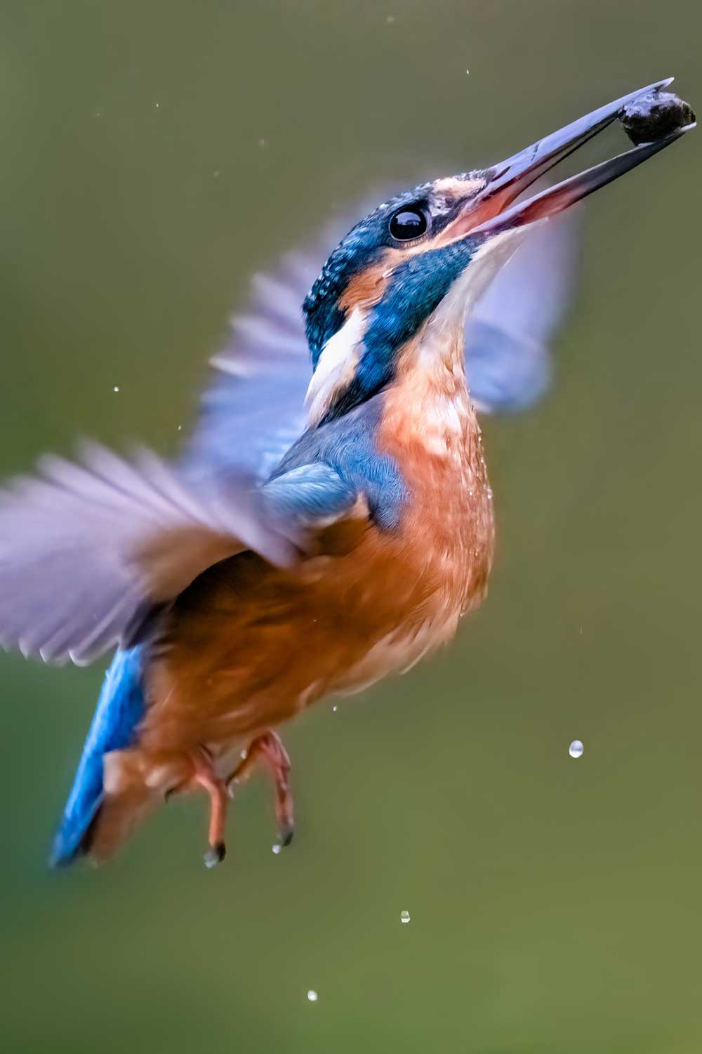 Jasmijn Fotografeert (2)