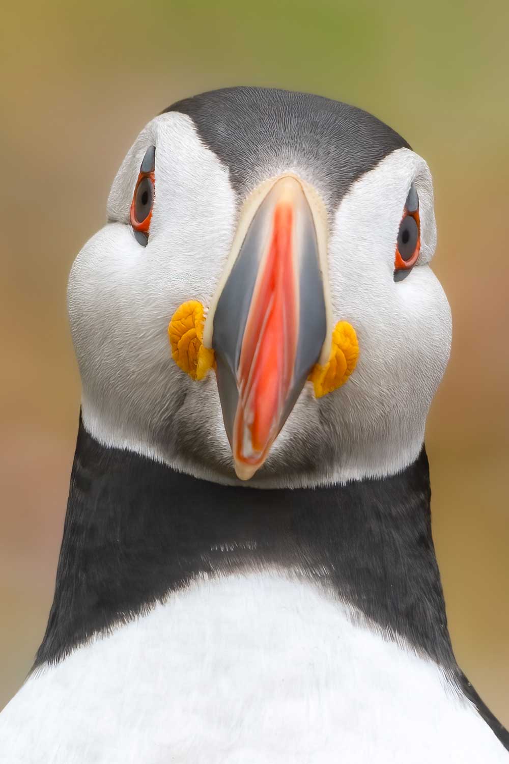 Jasmijn Fotografeert (4)