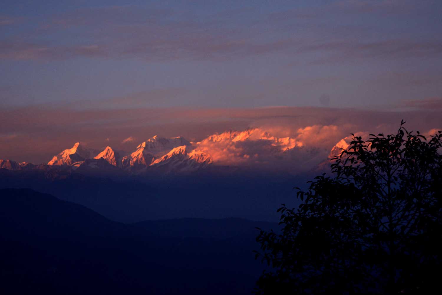 Manali Bhattacharyya (1)