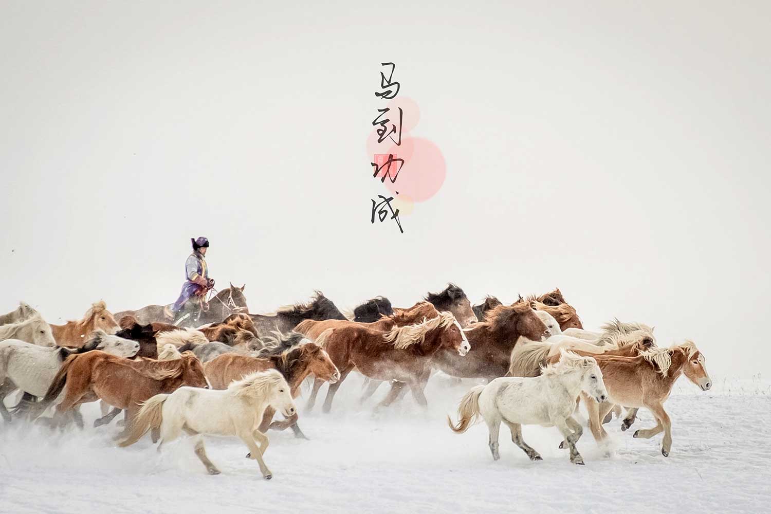 Guanck Chu (1)