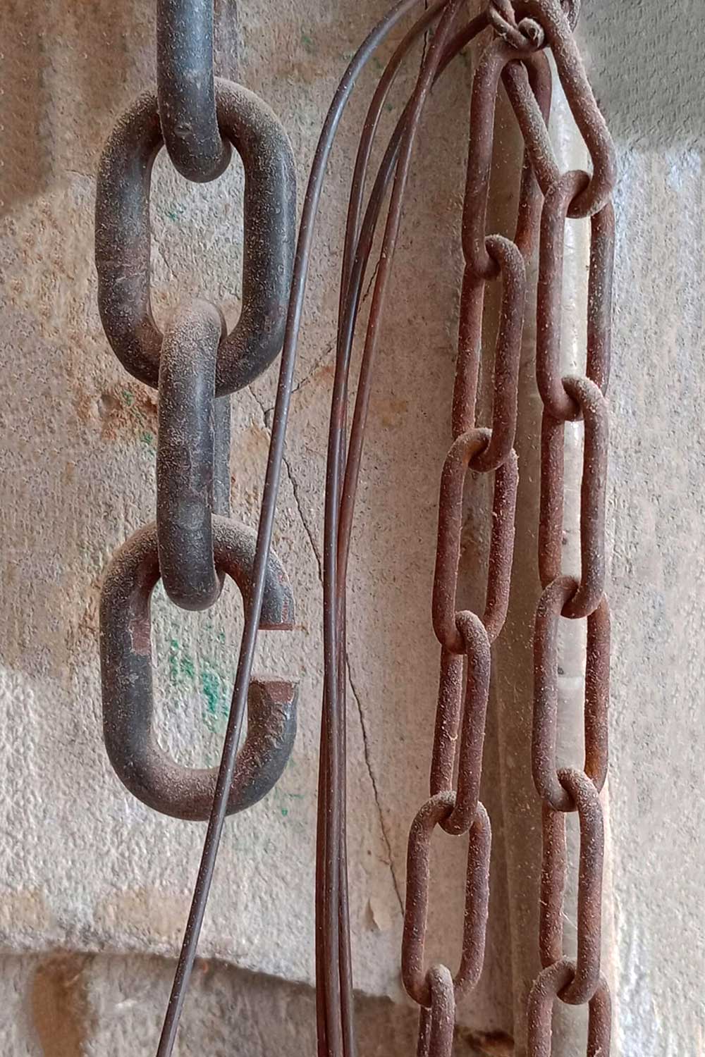 Baraa Ben Turkia (2)