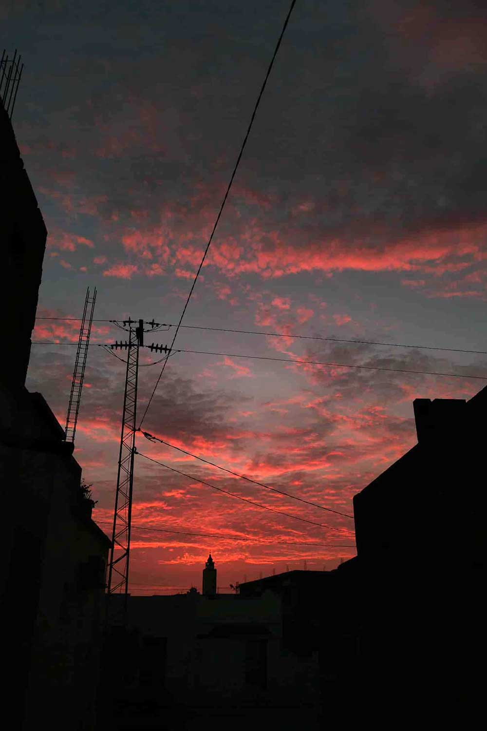 Hayfa Trabelsi (4)