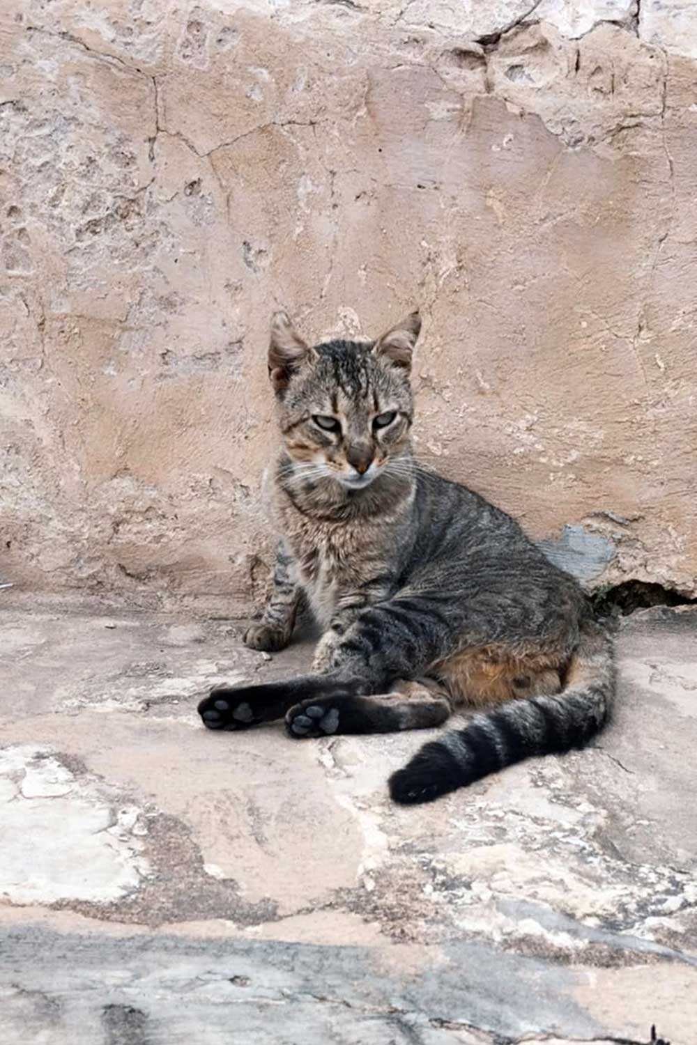 Mou Naa (3)