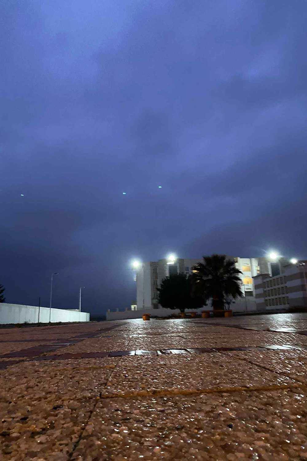 Sarra Mannai (3)