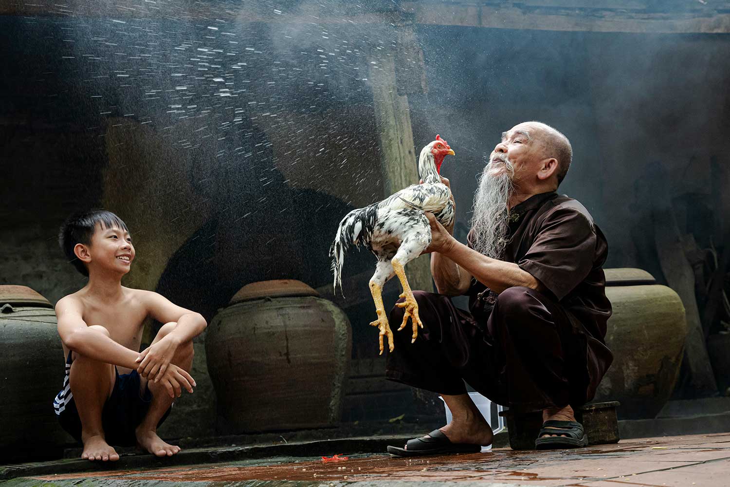 Wang Wenyu (4)