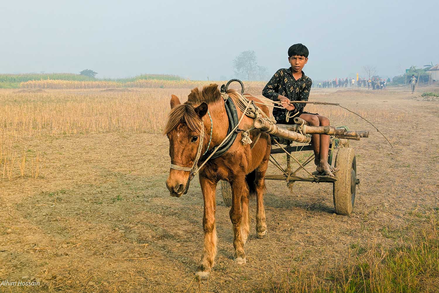 Alhim Hossain (3)
