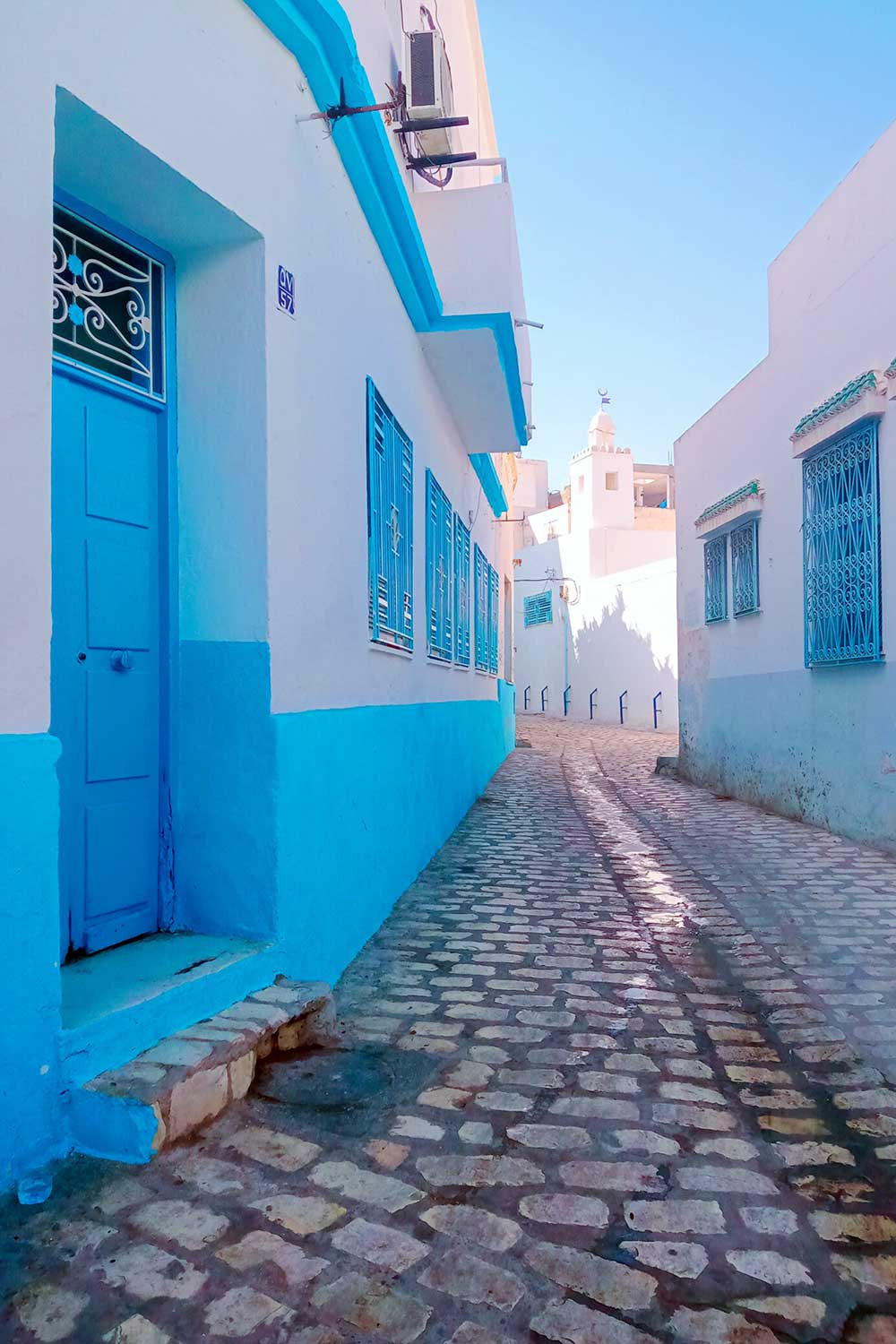 Mina Zaghbouni (1)