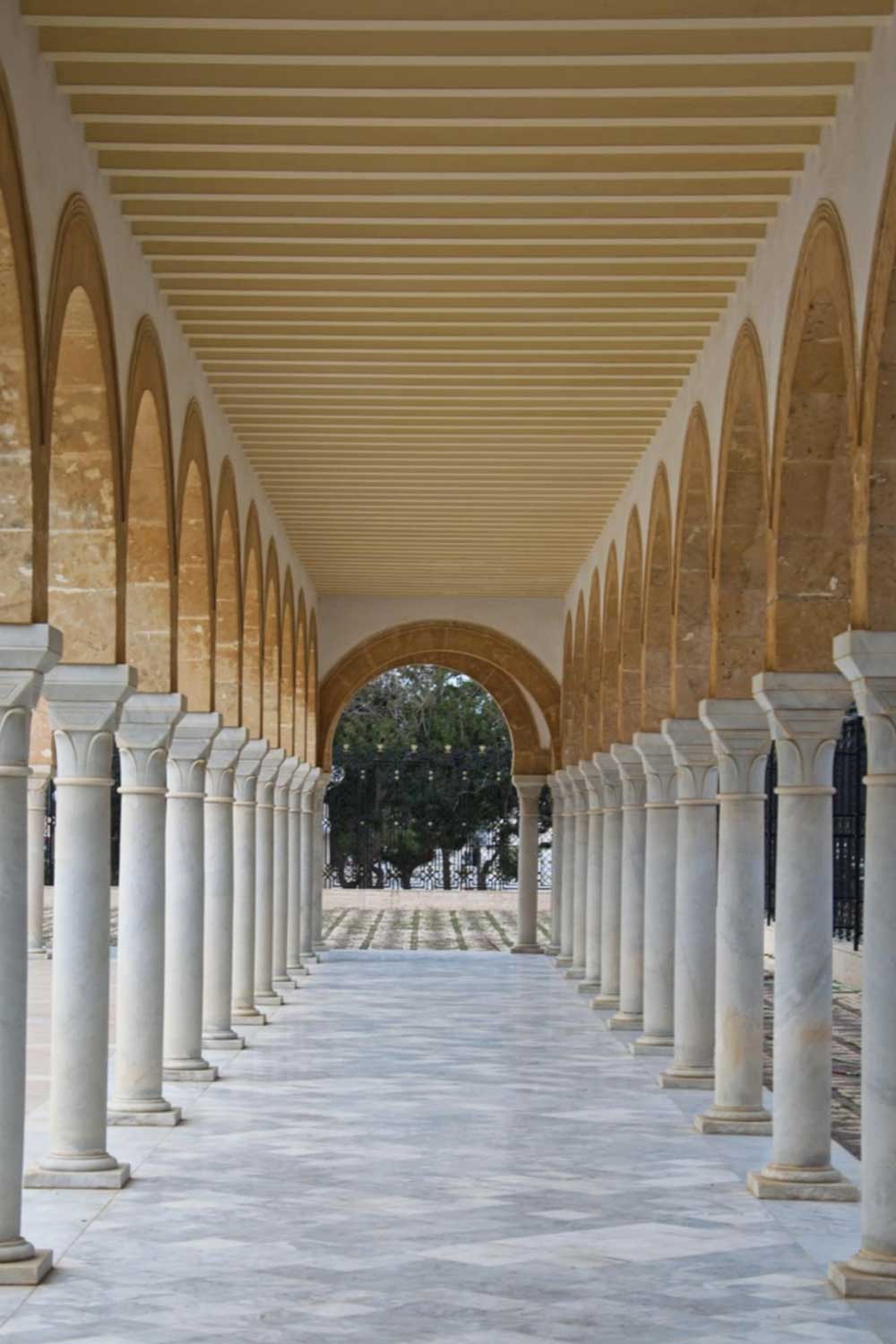 Mina Zaghbouni (2)