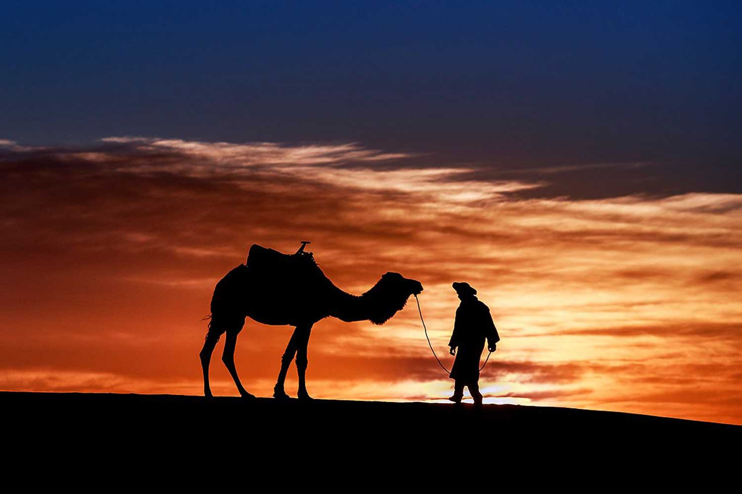 Sorin Onisor (1)