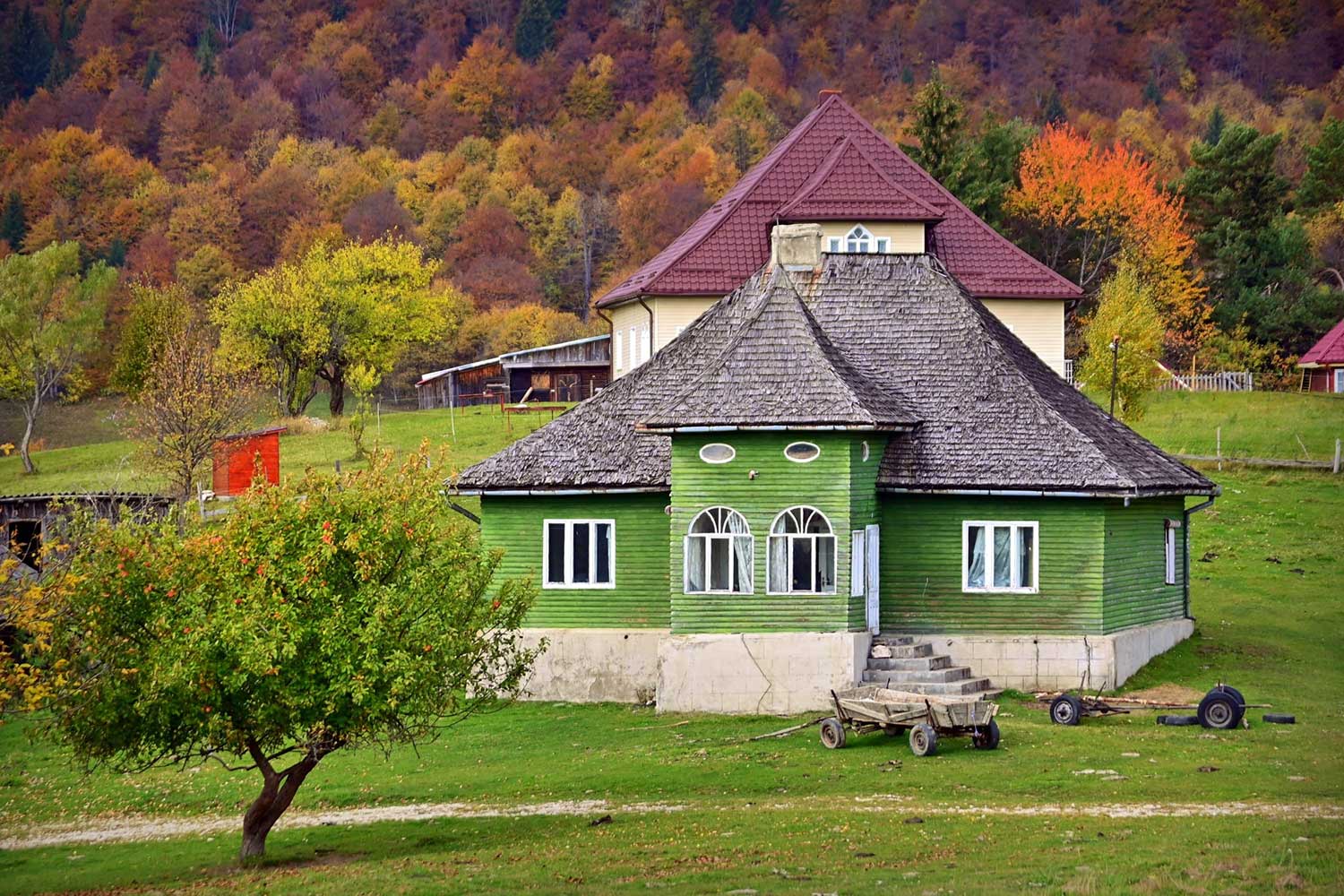 Ruxandra Popa (3)