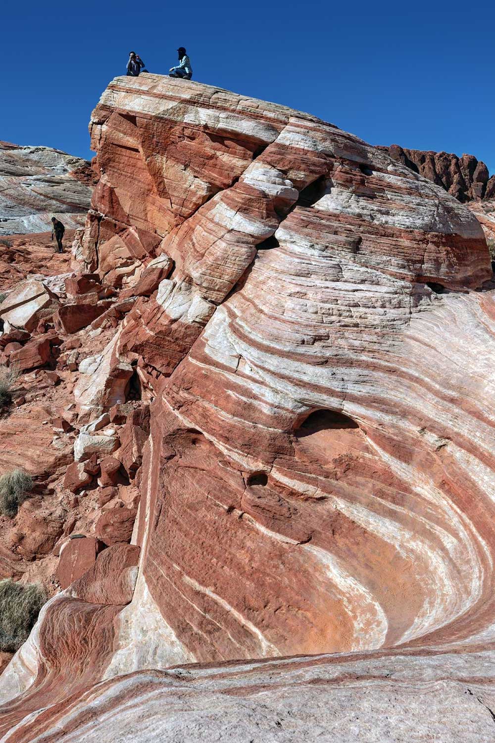 Sarah Esther Witherington (2)