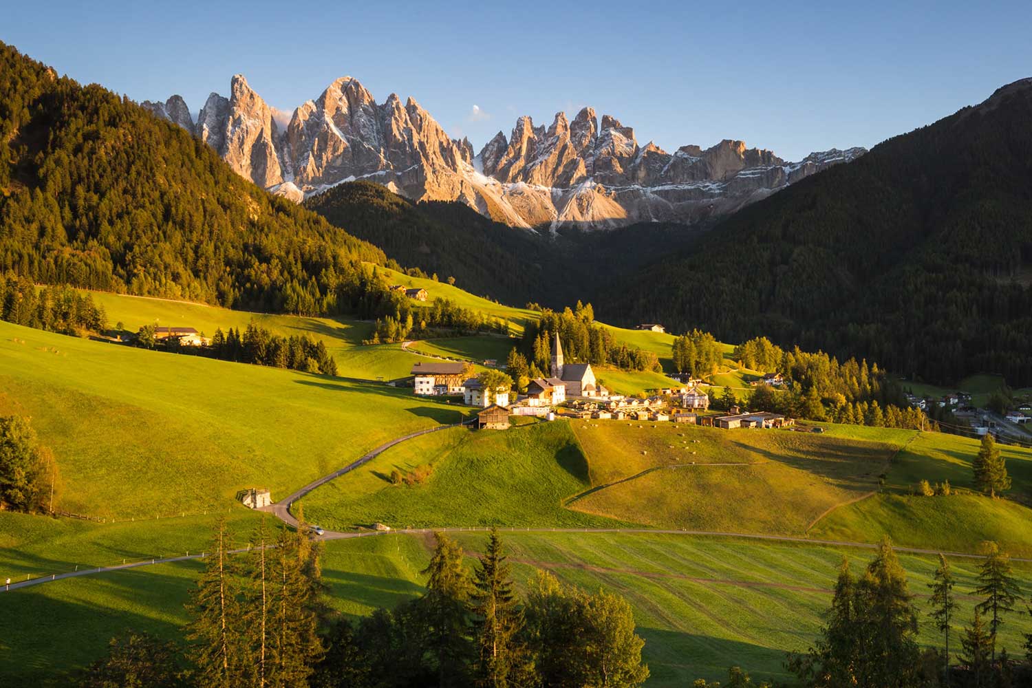 Sylwia Majchrowska (1)