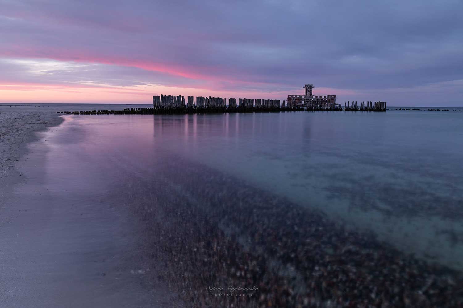 Sylwia Majchrowska (2)