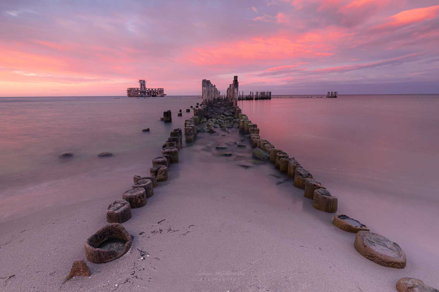 Sylwia Majchrowska (4)