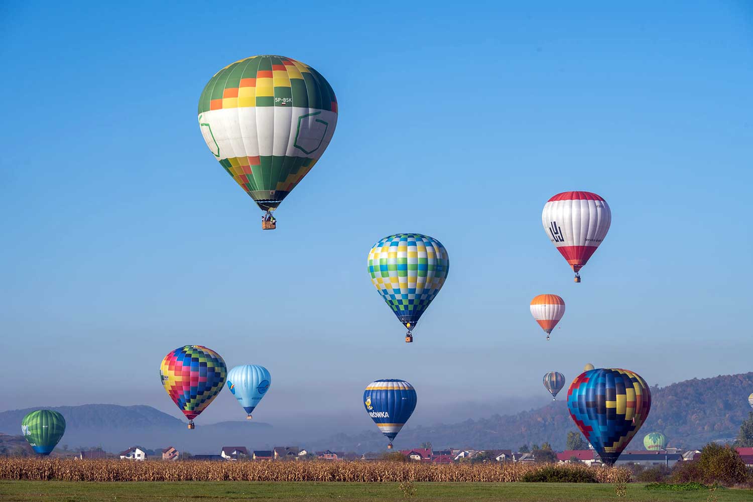 Alexandrina Nadia (4)