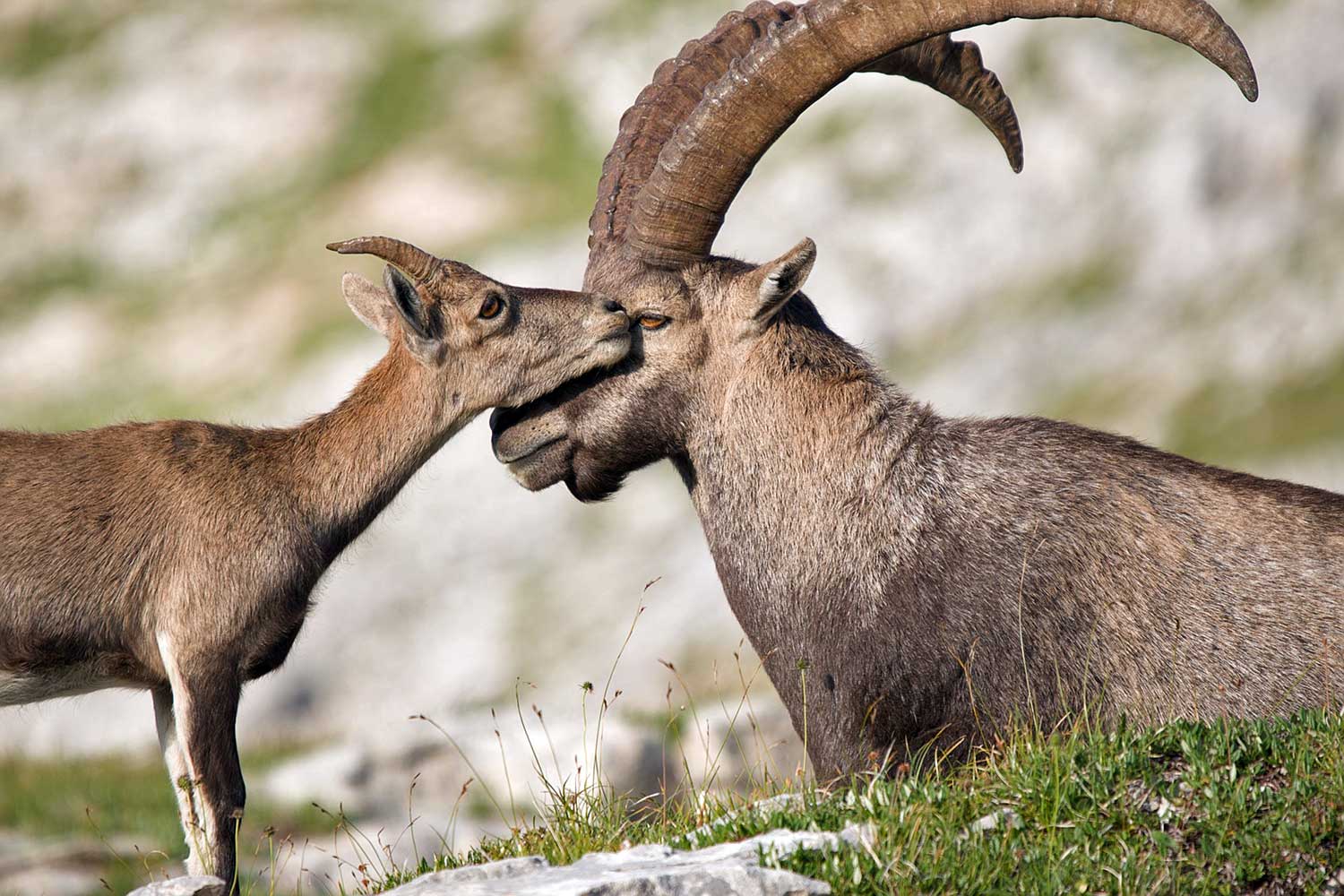 Juliette Evasion (1)