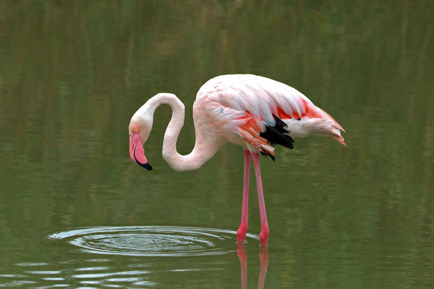 Juliette Evasion (2)