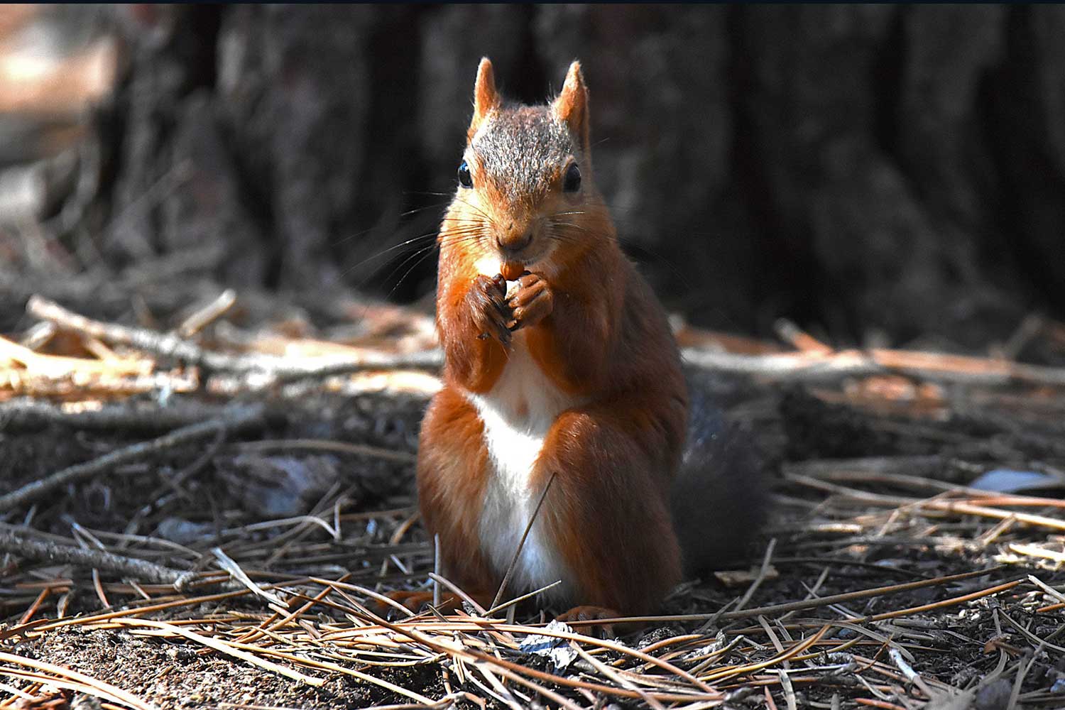 Juliette Evasion (3)