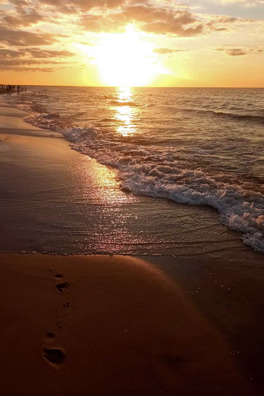 Lagertha Lothbrok (1)