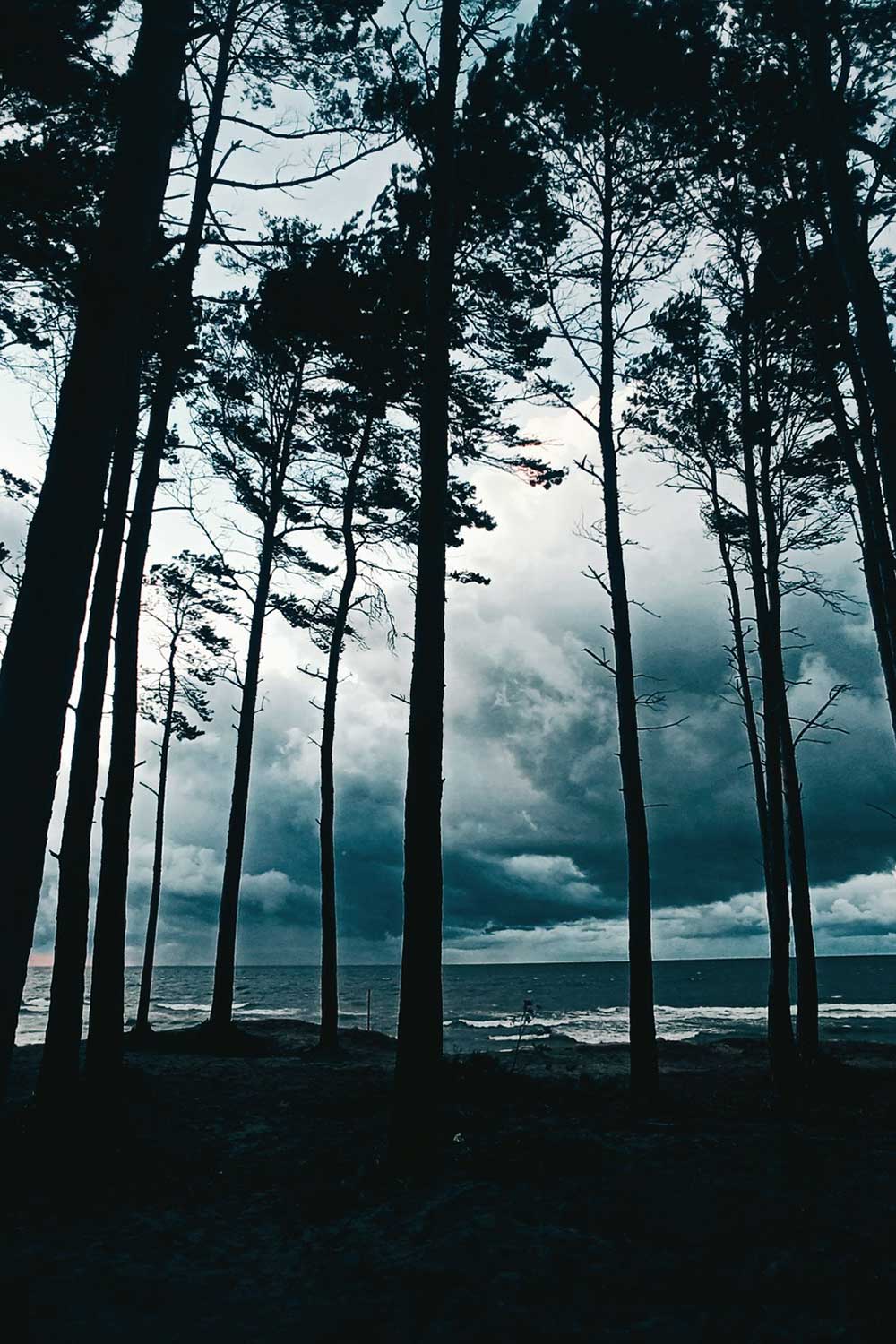 Lagertha Lothbrok (2)