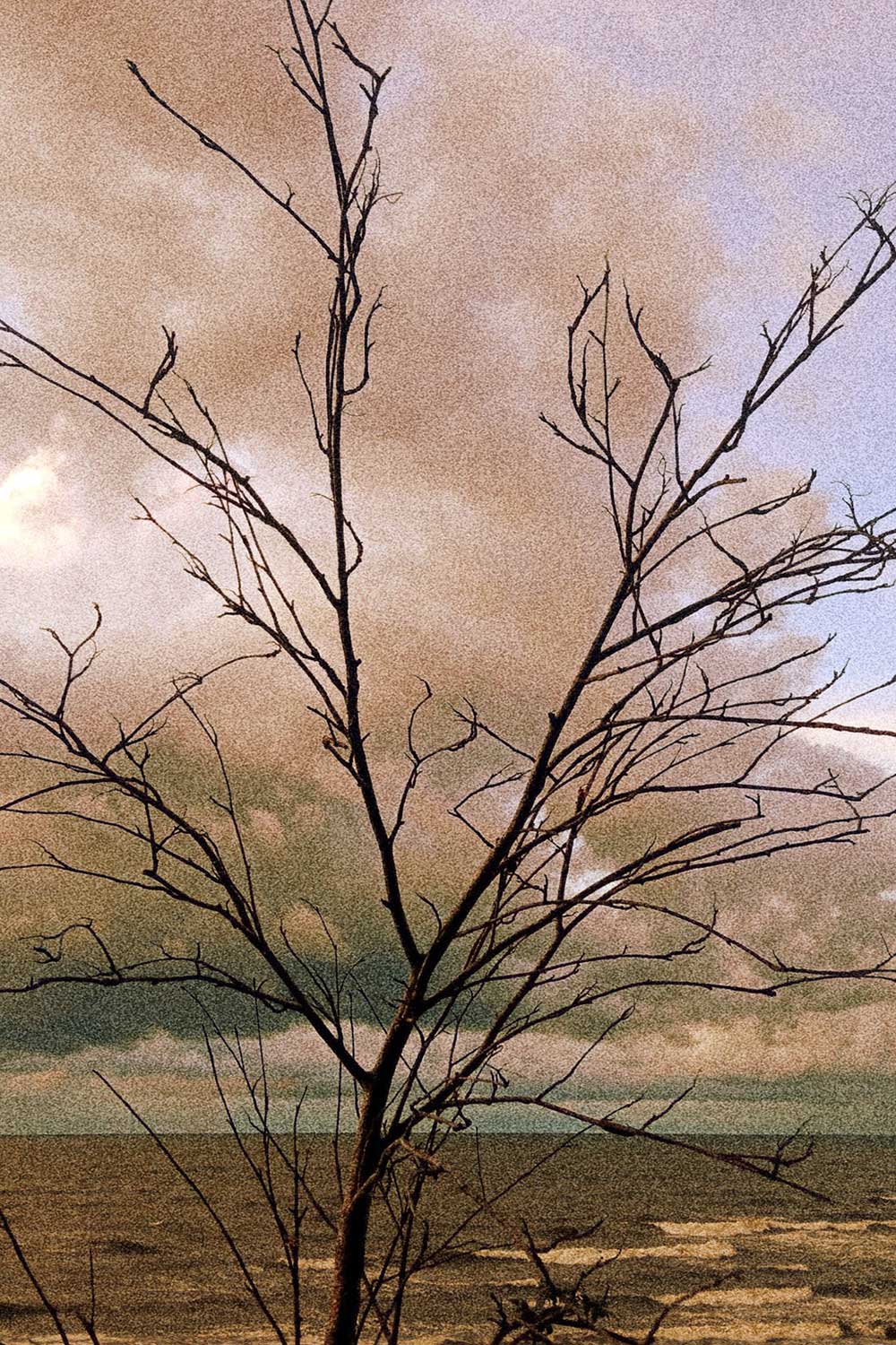 Lagertha Lothbrok (3)