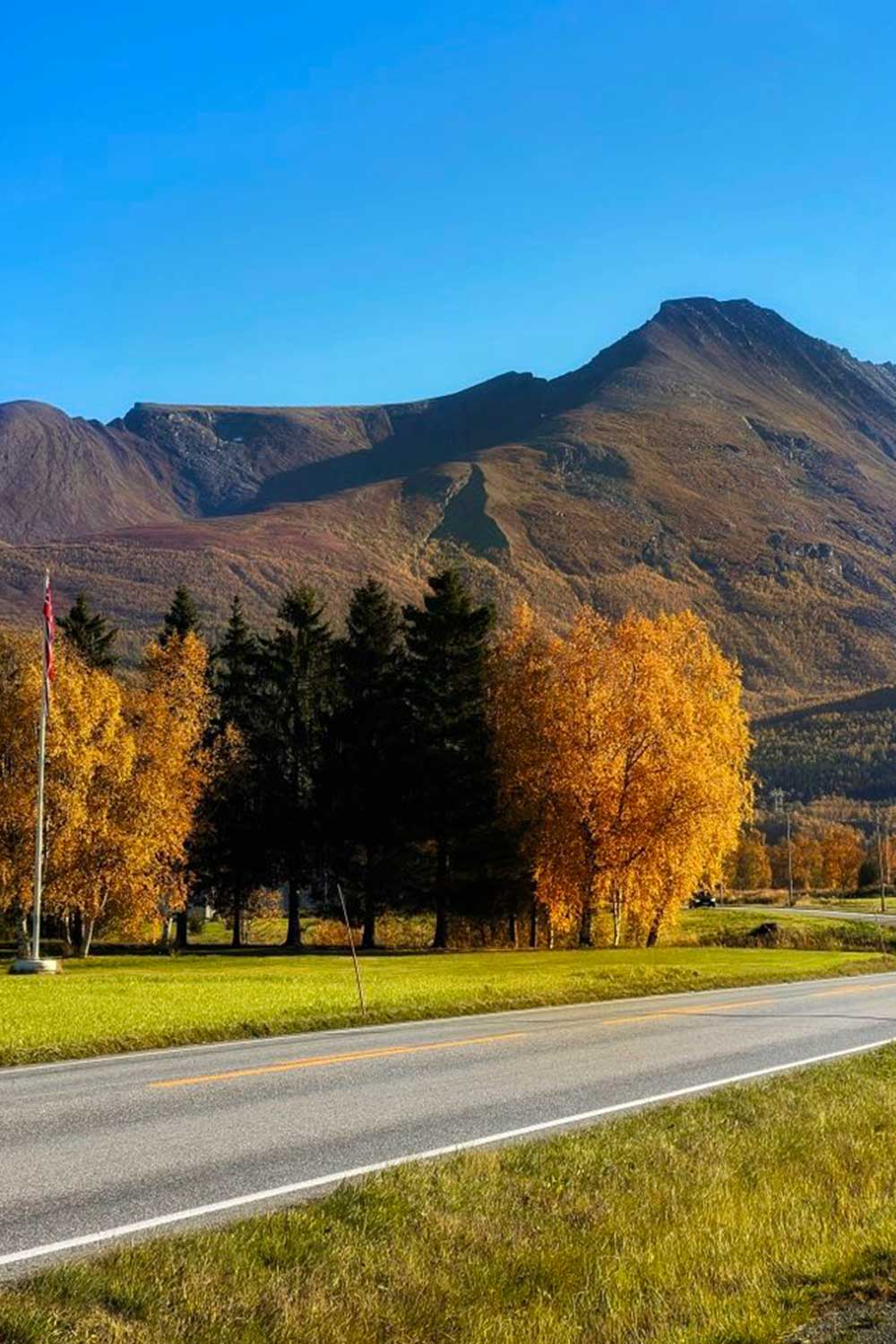 Maria Jooo Viana (4)