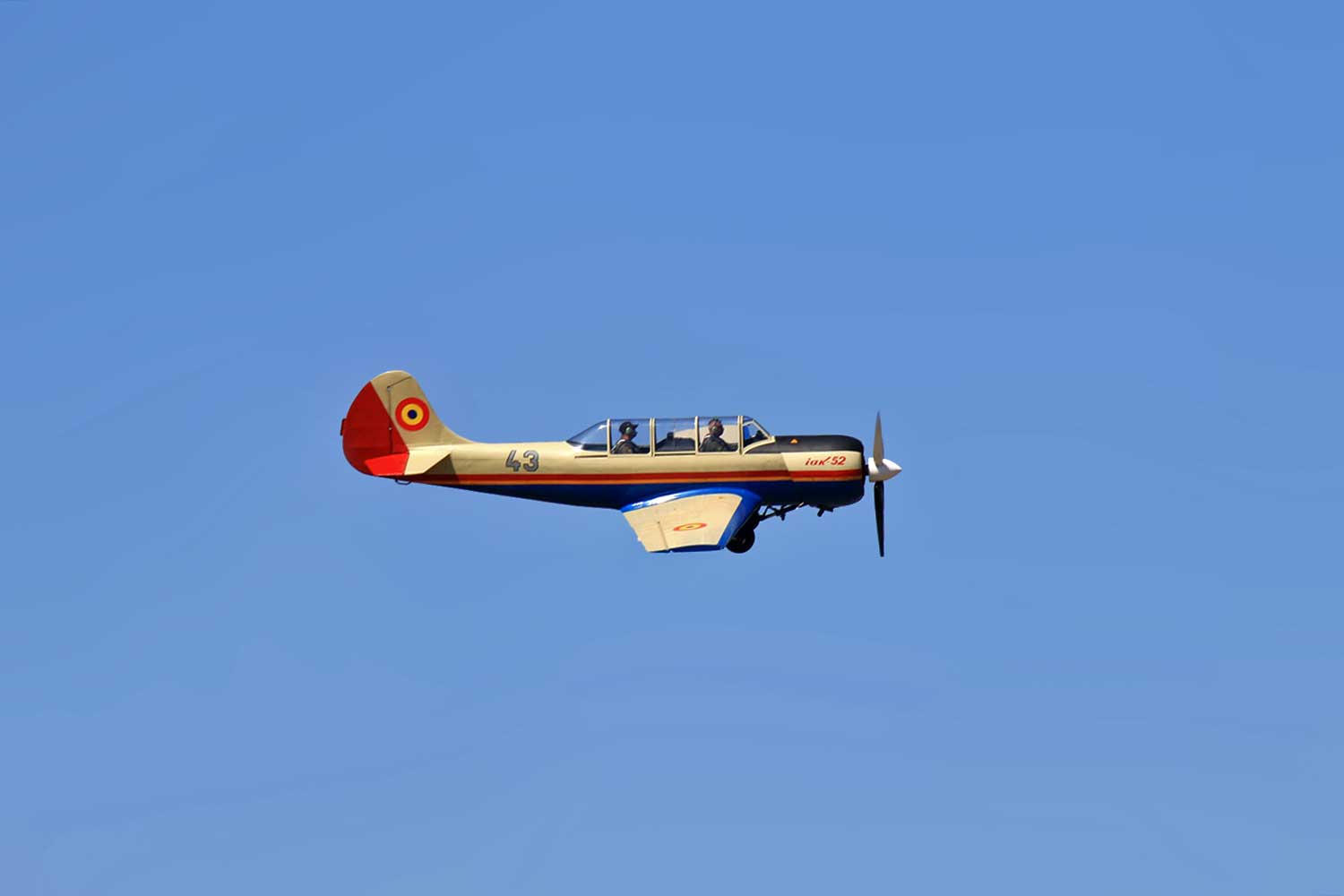 Furculesteanu Pontelli Daniel (3)